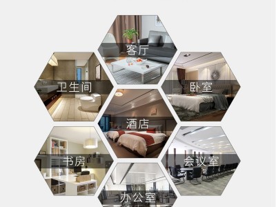 批发神鹰气雾剂油剂家用灭害灵杀虫剂水室内喷雾剂杀虫气雾剂图4
