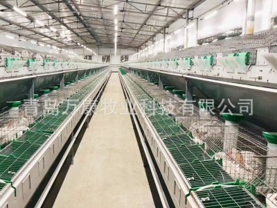 养兔子设备兔笼 24笼位双层欧式兔笼 子母繁育笼图5