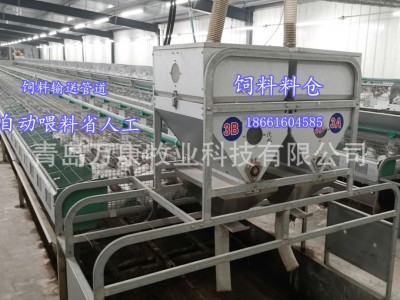 自动喂料养殖兔子笼具设备单层繁育兔笼欧式笼具图4