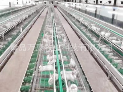 自动喂料养殖兔子笼具设备单层繁育兔笼欧式笼具图3