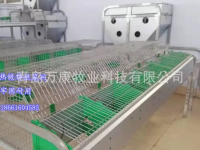 自动喂料养殖兔子笼具设备单层繁育兔笼欧式笼具图5