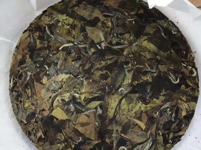 福建福鼎白茶高山白牡丹巧克力饼干手撕饼2021年花香水柔厂家批发图4