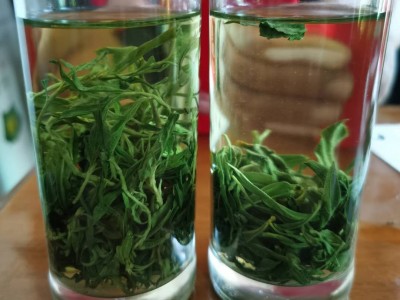 枸杞芽茶新宁夏枸杞叶茶无果枸杞芽茶苟杞树叶茶250g健康厂家批发图3