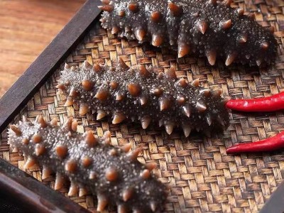 明尊8A级大连即食海参 大连鲜食刺参 工厂直营批发即食海参500g图2