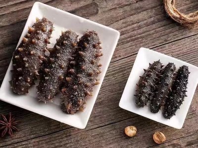 明尊8A级大连即食海参 大连鲜食刺参 工厂直营批发即食海参500g图4
