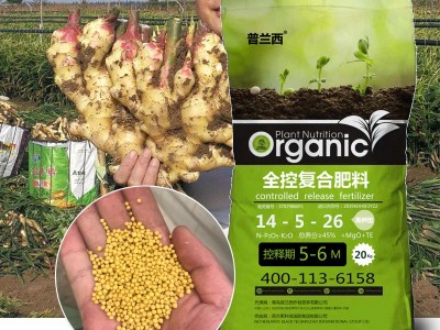 全控缓释肥生姜底肥全水溶平衡型高钾型控释肥全控复合肥图2
