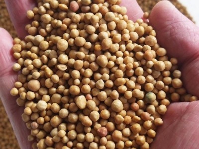 进口家庭园艺复合肥14-14-14花卉通用控释肥 3-4月缓释肥包邮图3