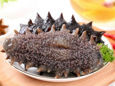 海之轩工厂大连渤海湾辽刺参即食海参批发鲜活海参礼盒非干参500g图3