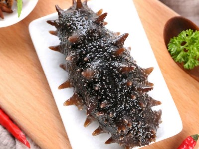 海之轩工厂大连渤海湾辽刺参即食海参批发鲜活海参礼盒非干参500g图4