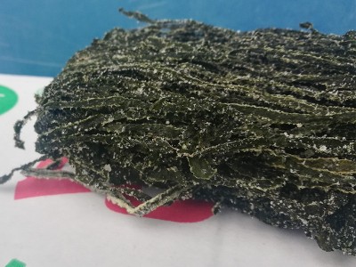 山东荣成盐渍海带丝箱装烘干海带凉拌菜火锅食材昆布丝一件代发图2