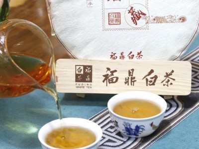 福建福鼎白茶2022年寿眉饼350g高山日晒老白茶饼厂家直供一件代发图4