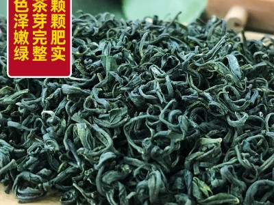 明前高山云雾绿茶 2022年早春春季绿茶上市 茶叶批发市场走量绿茶图4