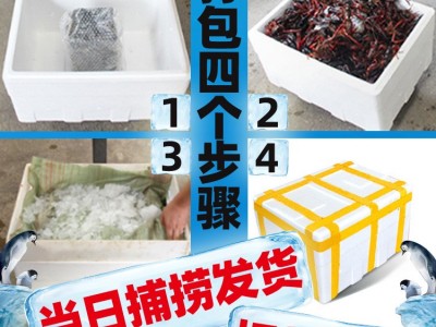 456钱湖北潜江小龙虾活体批发小龙虾小龙虾鲜活商用活的批发活的图4