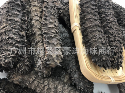 供应优质深海非洲海参2到20头／斤统货 梅花参自己场地加工批发图4