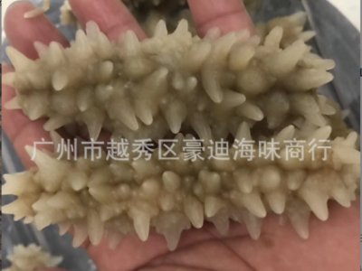 豪迪深海海参澳洲 黑刺参 印尼黑刺王参40~120头非辽参批发图2