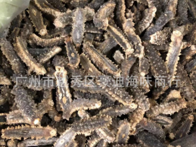 豪迪深海海参澳洲 黑刺参 印尼黑刺王参40~120头非辽参批发图4