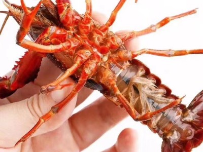 清水鲜活小龙虾批发潜江养殖基地青虾红虾一手货源小龙虾活的包邮图3
