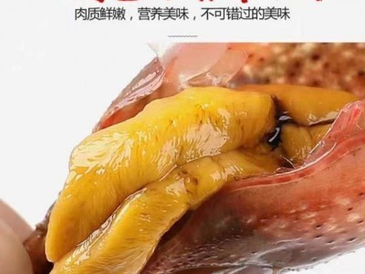 现货小龙虾鲜活江苏清水潜江小龙虾活体新鲜青壳虾红壳虾大虾批发图4