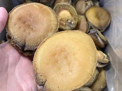 一德路档口批发南非青鲍鱼淡干鲍鱼干优选糖心鲍连干鲍鱼南非干鲍图3