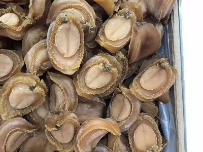 鲍鱼干货 大连吉品鲍鱼 大头数黄金鲍 纯淡干鲍鱼 全规格鲍鱼批发图3