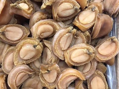 鲍鱼干货 大连吉品鲍鱼 大头数黄金鲍 纯淡干鲍鱼 全规格鲍鱼批发图2