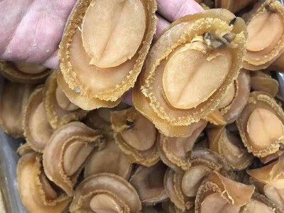 鲍鱼干货 大连吉品鲍鱼 大头数黄金鲍 纯淡干鲍鱼 全规格鲍鱼批发图4