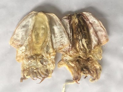 淡晒大号墨鱼干 海味特产全淡墨鱼干乌贼干 水产干货500g批发图2