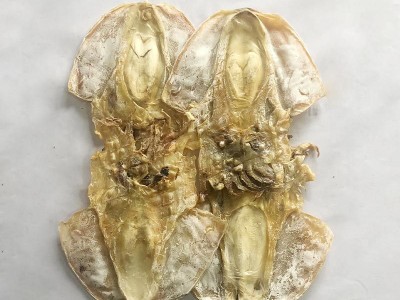 淡晒大号墨鱼干 海味特产全淡墨鱼干乌贼干 水产干货500g批发图3