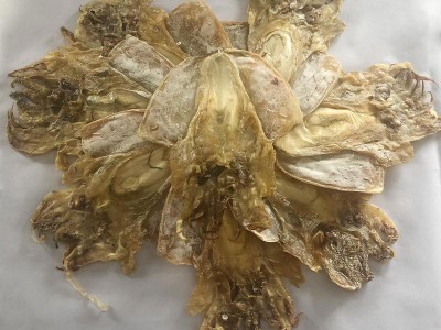 淡晒大号墨鱼干 海味特产全淡墨鱼干乌贼干 水产干货500g批发图4