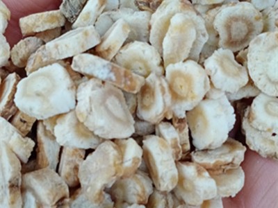 沙参 北沙参 北沙参各种等级 可视频看货图2
