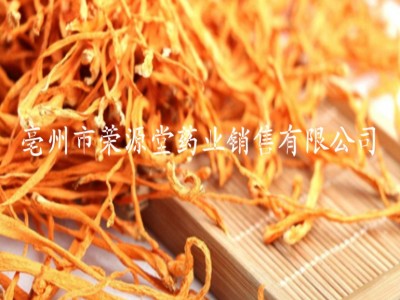 批发中药材 金虫草 虫草花 蛹虫草 各种规格 大货供应图4