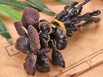 云南竹灵芝 长腿灵芝 灵芝 批发竹灵芝 大量批发量大从竹灵芝图3