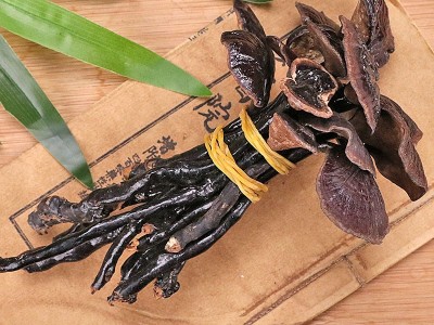 云南竹灵芝 长腿灵芝 灵芝 批发竹灵芝 大量批发量大从竹灵芝图5