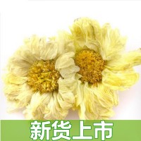 初悟批发 杭白菊 新货优质杭白菊朵菊 菊花茶500克量大从优