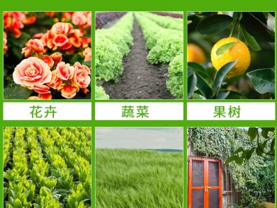 家庭园艺用花园宝肥植物营养型长效控释通用花肥料盆栽水培花卉肥图3