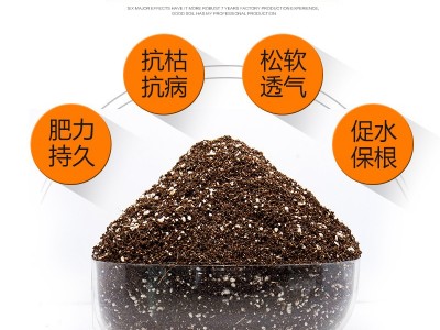 营养土养花土壤通用型种植土种菜种花有机泥炭土盆栽家用多肉花土图3