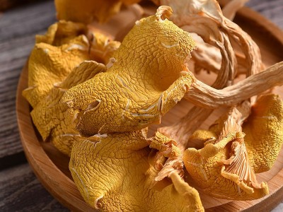 云南特产鸡油菌干货产地批发货源黄金菇榆黄菇菌汤包原料火锅食材图3
