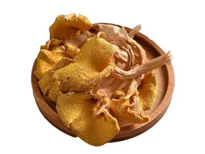 云南特产鸡油菌干货产地批发货源黄金菇榆黄菇菌汤包原料火锅食材图5