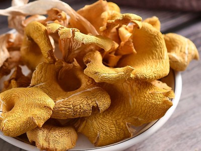 云南特产鸡油菌干货产地批发货源黄金菇榆黄菇菌汤包原料火锅食材图4