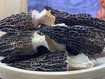 大量批发散装菌菇汤包250足干剪柄云南特产食用菌羊肚菌干货图4