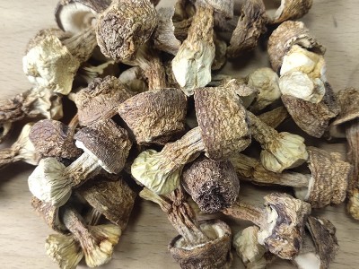 姬松茸干货 福建古田食用菌500克散装松茸菌 姬松茸食用菌批发图2