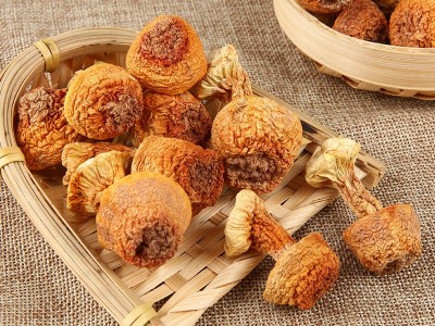 姬松茸干货 福建古田食用菌500克散装松茸菌 姬松茸食用菌批发图3