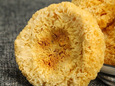 古田特产丑耳银耳 软糯多胶食用菌雪耳金耳 厂家直供干货散装图2