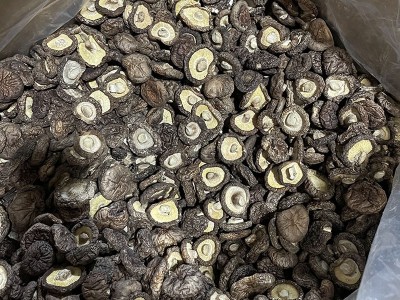 香菇干货批发 光面菇金钱菇 冬菇古田特产干香菇筛选好3-4cm图2