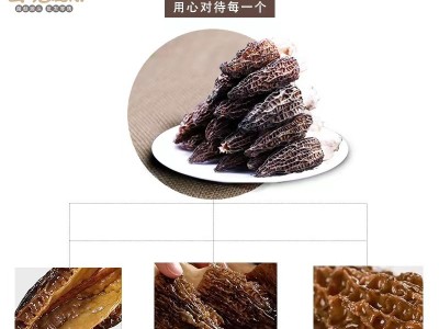 头茬羊肚菌云南特产蘑菇羊肚菌批发干货煲汤食材产地批发规格齐全图4