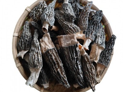 云南特产羊肚菌批发原产地大量批发羊肚菌干货图5