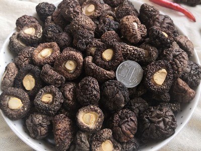 珍珠菇 小香菇干货 金钱菇 福建古田香菇冬菇特产 漳平香菇图4
