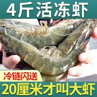 大虾批发青岛新鲜活冷冻海虾青虾海鲜基围虾对虾特大号一整箱代发