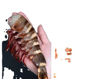 黑虎虾【特大】新鲜海虾老虎大鲜活大虾斑节草虾九节海鲜一件代发图4