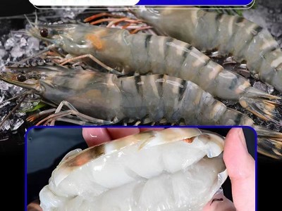 黑虎虾【特大】新鲜海虾老虎大鲜活大虾斑节草虾九节海鲜一件代发图3